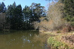 photo thumbnail #1