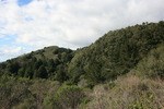 photo thumbnail #4