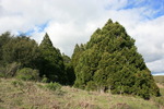 photo thumbnail #9