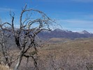 photo thumbnail #6