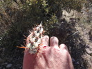 photo thumbnail #4