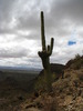 photo thumbnail #6