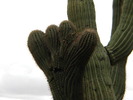photo thumbnail #7