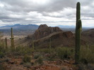 photo thumbnail #9