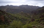 photo thumbnail #4