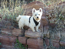 photo thumbnail #5
