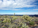 photo thumbnail #14