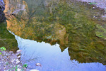 photo thumbnail #11