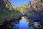 photo thumbnail #12