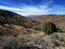 photo thumbnail #6