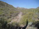 photo thumbnail #5