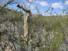 photo thumbnail #9