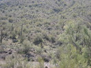 photo thumbnail #10
