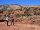 photo thumbnail #3