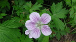 photo thumbnail #14