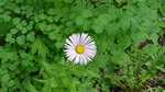 photo thumbnail #15