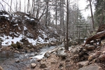 photo thumbnail #7
