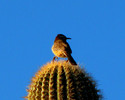 photo thumbnail #1