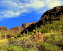 photo thumbnail #13