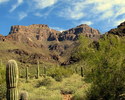 photo thumbnail #15