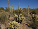 photo thumbnail #8
