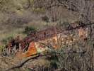 photo thumbnail #2