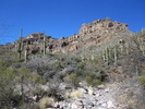 photo thumbnail #6