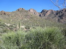 2011-02-22 :2: Millsite Spring To Elephant Butte Road :: AZLOT69