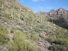 photo thumbnail #10