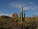 photo thumbnail #13