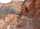 photo thumbnail #14