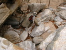 photo thumbnail #15