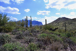 photo thumbnail #1