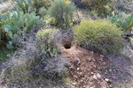 photo thumbnail #6