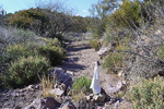 photo thumbnail #7