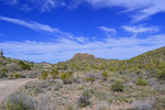 photo thumbnail #2