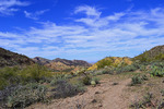 photo thumbnail #7