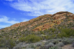 photo thumbnail #8