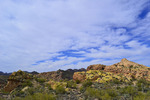 photo thumbnail #14