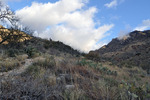 photo thumbnail #3