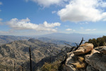 photo thumbnail #12