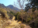photo thumbnail #1