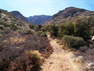 photo thumbnail #3