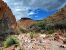 photo thumbnail #1