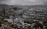 photo thumbnail #4