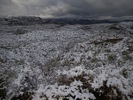 photo thumbnail #6