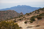 photo thumbnail #6