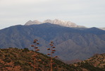 photo thumbnail #12