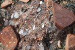 photo thumbnail #14