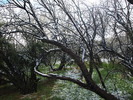 photo thumbnail #15